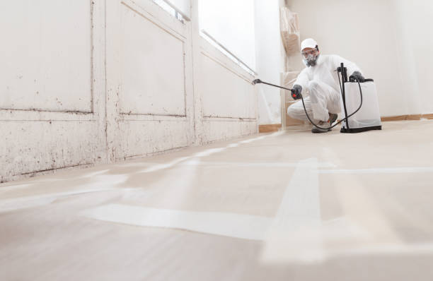 24/7 Emergency Basement Mold Removal experts in Southampton, PA